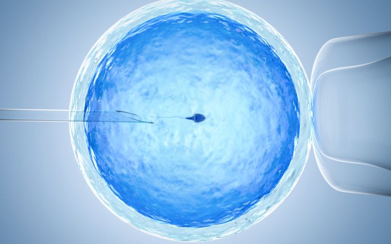 Comparativa de tratamientos de Fecundación in Vitro: Técnicas y precios de FIV, ICSI y otros métodos